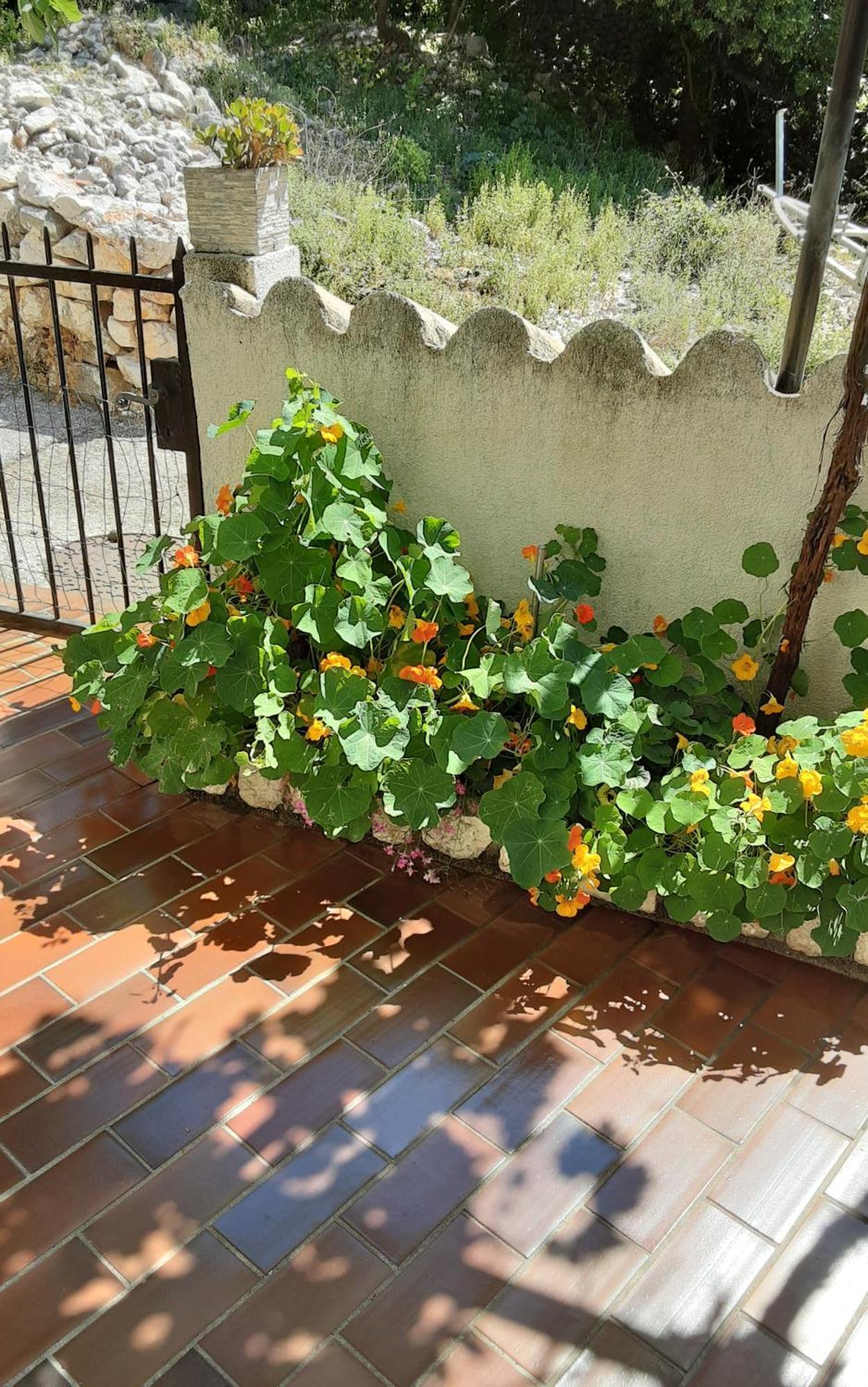 Apartman Legac Stari Grad Exterior foto